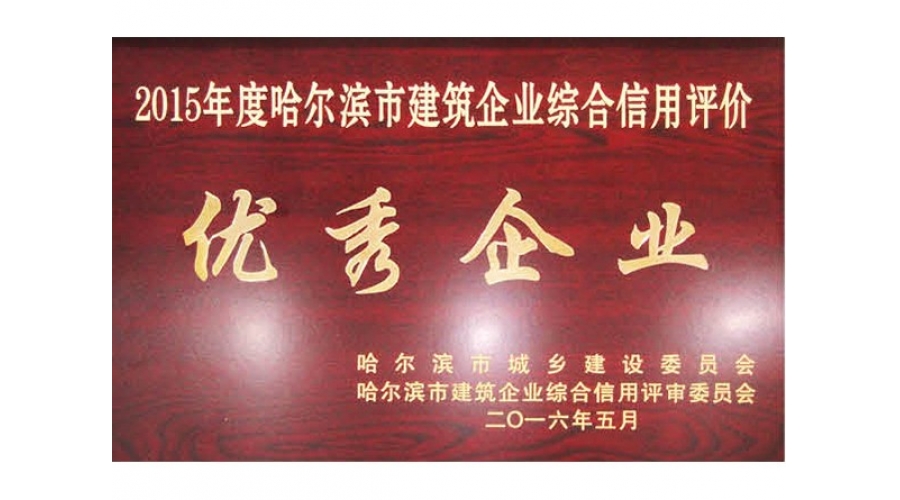 優(yōu)秀企業(yè)2015